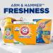 Shop Arm & Hammer Laundry Detergent - Perfume & Dye-Free 100 Loads 6.16 lb - International Shipping Available - Buy Online on SooperMarket.com
