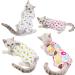 BT Bear Cat Professional Surgery Recovery Suits Cat Clothes for Abdominal Wounds or Skin Diseases After Surgery Wear Home Clothing L: back length 35cm Donuts - Buy Online on SooperMarket.com