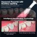 HassoKon Teeth Cleaning Kit - 4 Adjustable Modes, 4 Heads, IPX6 Waterproof (Black) - Buy Online on SooperMarket.com