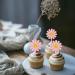 Rsstarxi 24 Pack Daisy Cupcake Toppers Baby Shower Birthday Chrysanthemum Party Cupcake Picks for Daisy Flower Theme Spring Birthday Wedding Party Cake Decorations Pink Design 1 Pink - Buy Online on SooperMarket.com