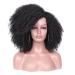 Lady Miranda Afro Short Kinky Synthetic Curly Wigs for Black Women - Natural and Stylish - Buy Online on SooperMarket.com