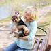 Berkelen 50-Piece Dog Hair Accessories Set Rubber Band Loops & Arches for Long-Haired Pets Perfect for Dogs & Cats - Buy Online on SooperMarket.com