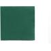 Buy Alvotex Soft Point Disposable Napkins - High Quality Green 38x38 cm (Pack of 2) for International Shipping - Buy Online on SooperMarket.com