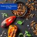 Sensible Insect Snack | Roasted Mealworm Protein & Crunchy Party Mix | Unique Grilling Gift Idea - Buy Online on SooperMarket.com