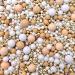 Luxury metallic Gold Nude Beige neutral White Rose Gold Christmas Sprinkles mix blend baby shower cupcakes cookies biscuits edible cake topper pearls wedding hen party decoration chocolate balls MOET