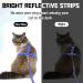 Supet Cat Dishes & Line Set - Perfect Feeding Solution for Kittens | International Shipping Available - Buy Online on SooperMarket.com
