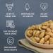LAFOOCO Sea Salt Caramel Cashews 14.1 oz - Premium Roasted Cashews | Resealable Jar | Nutrient-Rich Protein Snack | Perfect Gift for Celebrations, Holidays, Birthdays - Buy Online on SooperMarket.com