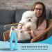 Buy Carpet Rake & Pet Hair Remover | Deep Cleaning Tool for Dog & Cat Fur | Lint & Fuzz Remover for Couch Carpet & Furniture - Buy Online on SooperMarket.com