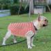 WLLHYF After Surgery Dog Recovery Onesie Comfortable Puppy Post Neuter Surgery Shirt Cone Alternative Wound Protective Body Suit Clothes for Large Small Dogs (Pink White Stripe) (Small) - Buy Online on SooperMarket.com