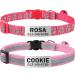 Tagme 2 Pack Cat neck band with name and telephone number cat collar with safety clasp and bell 18-31 cm for cats pink standard size 18-31cm pink