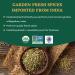 Organic Fennel Seeds (397g/14oz) from Rajasthan, India | USDA Certified | Anti-inflammatory | Ideal for Cooking & Beverages | Resealable Pouch - Buy Online on SooperMarket.com