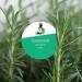 Rosemary Essential Oil for Hair Growth | Natural Hair Loss Solution & Aromatherapy - 60ml - Buy Online on SooperMarket.com