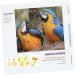 PopetPop 10 Pack Parrot Flight Suits - Ideal Diapers for Birds | International Shipping Available - Buy Online on SooperMarket.com