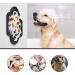 Ohmo Lick Mat for Dogs & Cats - Leak-Proof Silicone 2 Pack Cactus Design | Pet Anxiety Relief & Slow Feeding - Buy Online on SooperMarket.com