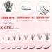 Glowing Win Cluster Eyelash Extensions - 228 PCs Natural Individual False Lashes (0.07C 20D 8-15mm) for DIY Perfect Look - Buy Online on SooperMarket.com