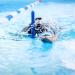 Kraken Aquatics Swim Snorkel - Adult Center Mount for Lap Swimming | Comfortable Silicone Mouthpiece | One-Way Purge Valve | Blue - Buy Online on SooperMarket.com