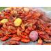 2 Gringos Chupacabra Cajun Seasoning Blend - 25 oz | Authentic Southern Flavors - Buy Online on SooperMarket.com