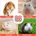 Rabbit Hay Feeder Hanging Hay Feeding Bag Rabbit Hay Feeder Bag Foldable Hay Storage Bag for Rabbit Guinea Pig Hamster Chinchilla (L) - Buy Online on SooperMarket.com