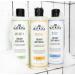 J.R. Watkins Awaken Body Wash 12 oz - Rosemary & Rosewood (Pack of 2) - Buy Online on SooperMarket.com