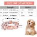 Pink Bow Tie Dog Collar | Adjustable for Girl Dogs | Metal Quick Release Buckle | Orange | Size L (38-60CM) - Buy Online on SooperMarket.com