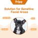 FriPuP 100Pcs Pet Face Wipes for Dogs and Cats - Clean Body, Eyes, Facial Stains, and Ear Wax - Nonwoven Fabric, Convenient for Home or Outdoor - Buy Online on SooperMarket.com