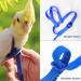 Newsmy Bird Harness Adjustable Feather Tether Parrot Harness Leash Outdoor Training Carrier for Budgerigar Lovebird Cockatiel Mynah Cockatoo Parakeet Macaw (Blue S) - Buy Online on SooperMarket.com