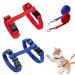2 pieces of cat crockery dishes soft cat dishes with leash adjustable nylon scrapes cat leash for kitten puppy rabbits rabbit red & blue