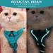Fineasy Cat Dishes with Adjustable Leash - Outbreak-Proof Harness & Soft Cat Kitten Dog Breastware (Green S) | Shop Internationally - Buy Online on SooperMarket.com