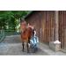 Amesbichler Horse Barn Cleaning Combat - Anti-Tangle Rake & Scratch Remover for Icelandic Horse Care | Durable Metal & String Striegel - Buy Online on SooperMarket.com