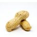 Premium USA Grown Raw Peanuts in Shell for Squirrels - Unsalted & Boiled Jumbo Peanuts for Birds - Green - Buy Online on SooperMarket.com