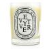 Buy Diptyque Vetyver Scented Candle 190g | Premium Fragrance for Home | International Shipping Available - Buy Online on SooperMarket.com