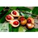 Naturevibe Botanicals Organic Nutmeg Whole 1.76oz (50gm) | Non-GMO, Gluten Free Indian Spice - Buy Online on SooperMarket.com