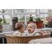 BIBS Colour Anatomical Glow Schnuller 2-Pack | BPA-Free Natural Rubber Latex Soothers | Lights Up in the Dark | Size 1 (0-6 Months) - Sage Glow & Cloud Glow - Made in Denmark - Buy Online on SooperMarket.com