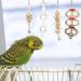 Taecoool 8-Part Wooden Parrot Toys - Natural Chewing & Hanging Bell for Cockatiels Finches & Small Parrots - Buy Online on SooperMarket.com