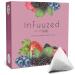 720 DGree "InfuZed" taste dark berry - 20 bags at least 10 liters - without adding sugar no calories - of course delicious for your drinking bottle: the drinks alternative to iced tea lemonade dark berry 60 g (1 Pack)