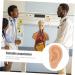 Silicone Ear Model - 3D Major Cyborg Presentation Tool for Ear Training and Piercing Practice - Buy Online on SooperMarket.com
