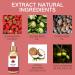 Strawberry Shortcake Body Oil Handcrafted Body Oil Body Juice Oil Body Moisturiser Facial Oil Body Oil for Dry Skin Hydrating & Nourishing Skin Firming Relaxation Fresh Smell - Buy Online on SooperMarket.com
