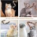 Jeffdad 2-Piece Interactive Cat Wand Toy Interactive Cat Wand Leopard Ribbon Toy fits most cats and kittens - Buy Online on SooperMarket.com