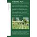 Organic Nettle Leaf Herbal Tea - Caffeine-Free, 16 Wrapped Bags | Traditional Medicinals - Buy Online on SooperMarket.com