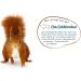 Elle's Squirrel Feed - Nutty Variety 5x600g | Winter Vitamins & Nuts | 100% Natural Squirrel Mix - Buy Online on SooperMarket.com