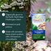 Host Defense Stamets 7 Mushroom Complex Supplements |Immune Booster Supplement with 7 Mushroom Blend - Lions Mane Chaga Cordyceps Reishi Maitake Mushrooms Supplements Capsules (120 Count (Pack of 1) Stamets 7 Capsules) Stamets 7 Capsules 120 count (Pack o - Buy Online on SooperMarket.com