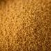 Buy Organic Whole Grain Couscous 1.8 kg | Plastic-Free & Eco-Friendly | From Italy | S ssundclever.de  - Buy Online on SooperMarket.com