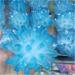 Crystals 1pc Rare Beautiful Ky Blue Phantom Quartz Crystal Cluster Ore Sample Cured Home Office Decoration Gift Stone Collection (Size : 400-450g) - Buy Online on SooperMarket.com