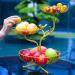 Kitchen Countertop Fruit Rack Fruit Basket Fruit Bowl Fruit Basket Bowl Fruit Basket Gold Fruit Bowl Table Decoration Fruit Basket Fruit Racks Vegetable Snacks Holder Fruit Racks (Color : 3 Tier) - Buy Online on SooperMarket.com