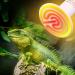 Dernord Reptiles Thermal Lamp 150W - Ceramic Heating Spotlights for Turtles Crayfish Spiders & More - E27 Heating Lamp (2 Pieces) - Buy Online on SooperMarket.com