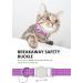 Shop Airtag Cat Neck Band | Reflective Kitten Collar with Holder & Bell | Light Tracker for Young Cats - Purple - Buy Online on SooperMarket.com