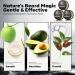 Waking Forest Beard Balm Kit for Men | All-Natural Thicker Beard Growth Butter & Softener | Ultimate Moisturizer Beard Growth Kit - Buy Online on SooperMarket.com