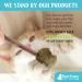 Raw Paws Catnip Lollipop (6-Pack) - Catnip Toys for Indoor Cats - Catnip Ball, Silvervine & Matatabi Stick for Cats - Buy Online on SooperMarket.com
