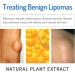 Lipoma Removal Cream 20g - Natural Treatment for Lipoma Care & Discomfort - Buy Online on SooperMarket.com