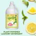 Rebel Green Natural Laundry Detergent - Organic, Hypoallergenic, Peppermint & Lemon Scent, 64 Loads (64 Fl Oz) - Buy Online on SooperMarket.com
